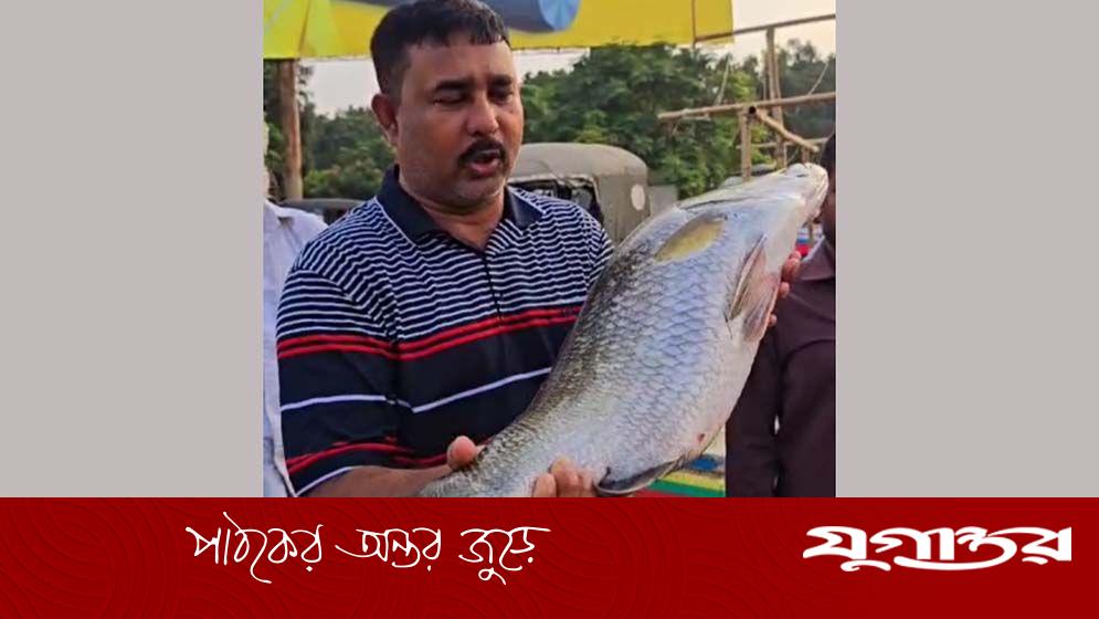 পদ্মার এক কোরাল মাছের দাম ১০ হাজার টাকা