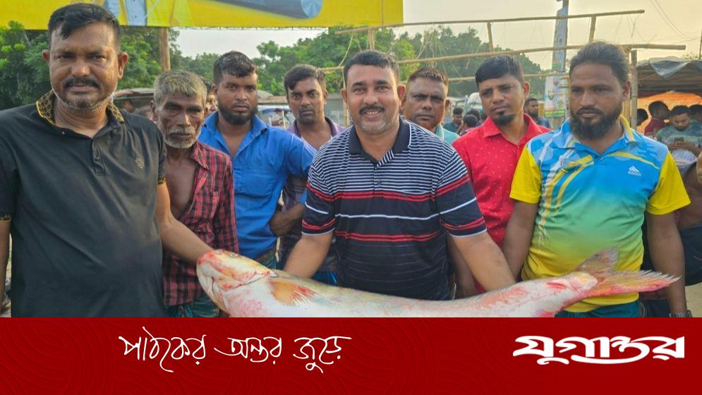 বিশাল এক ঢাই মাছের দাম লাখ টাকা!