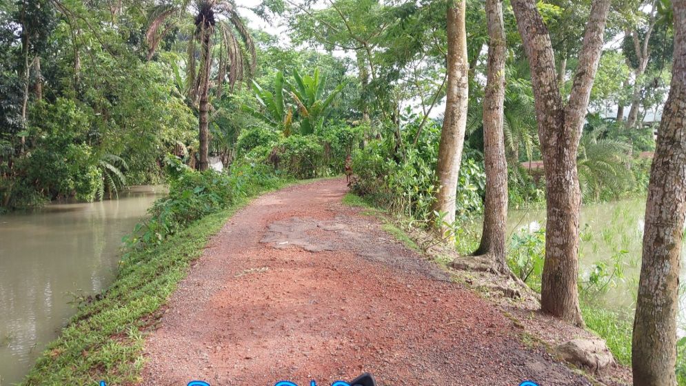ছবি: যুগান্তর