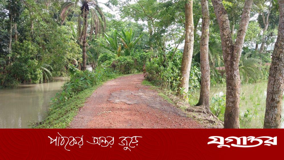 চলাচলের অনুপযোগী পটুয়াখালীতে শ' শ' কিমি সড়ক, নজর নেই কর্তৃপক্ষের