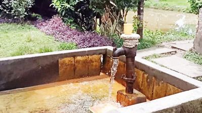 মোটর ও চাপ দেওয়া ছাড়াই পানি উঠছে নলকূপে!