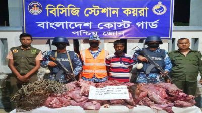 কয়রায় ১০৩ কেজি হরিণের মাংসসহ ১ শিকারী গ্রেফতার