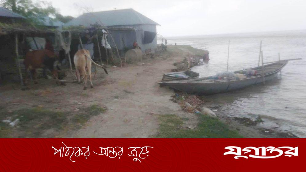 পদ্মায় বিলীন বসতঘর, ভাঙন ধরেছে ভাড়ার জমিতেও