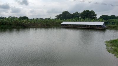 স্কুল নিল লিজ, মাছ চাষ করছেন যুবদল নেতা