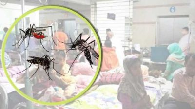 ডেঙ্গু রোগীদের চিকিৎসায় স্বাস্থ্য অধিদপ্তরের ১২ দফা নির্দেশনা
