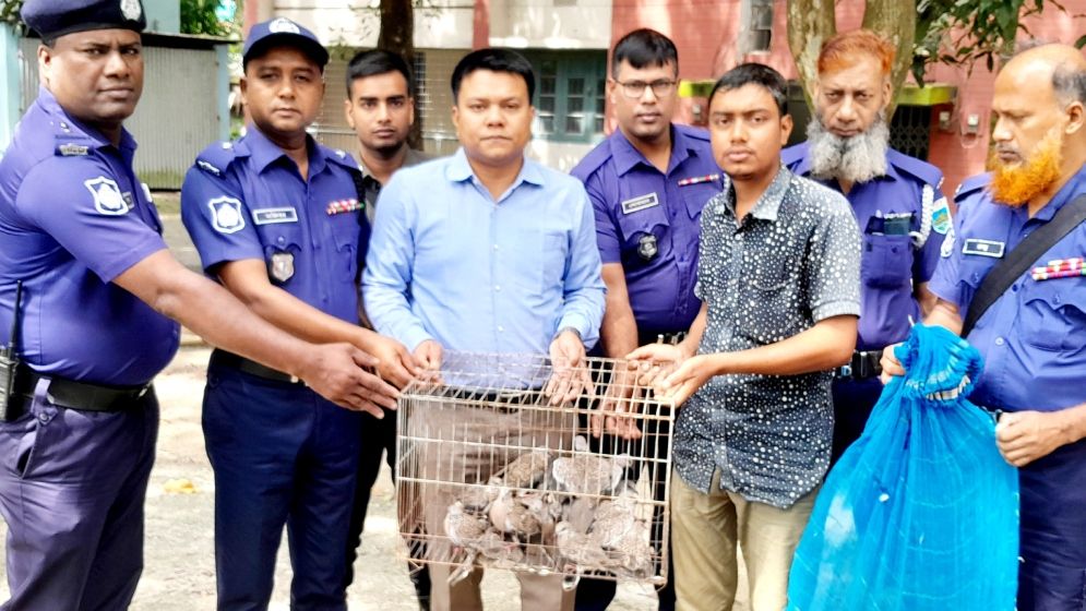 শিকারির ফাঁদে আটকা ৪৫ পাখি আকাশে অবমুক্ত