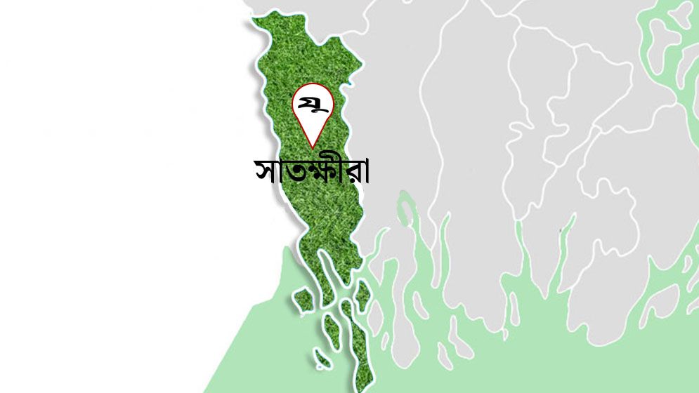 ভারতে আটক ১৫ বাংলাদেশিকে বিজিবির হাতে দিল বিএসএফ