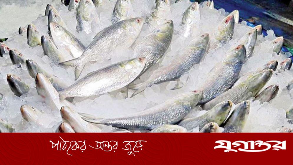 ভারতে ইলিশ রপ্তানির অনুমতি পেল ৩৭ প্রতিষ্ঠান