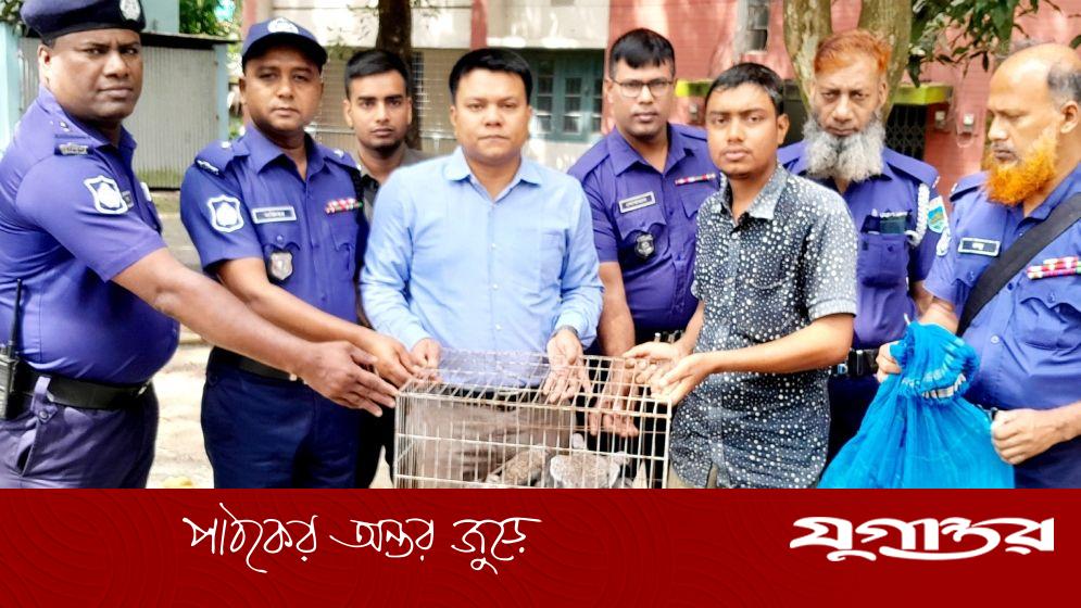 শিকারির ফাঁদে আটকা ৪৫ পাখি আকাশে অবমুক্ত