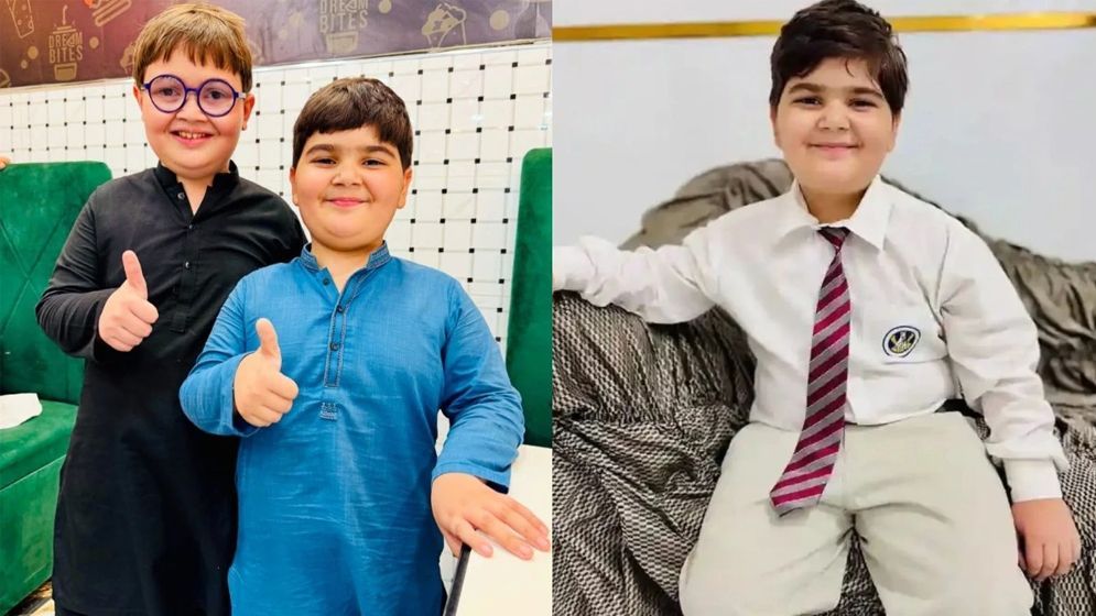 ‘পিছে তো দেখো’ তারকার ভাইয়ের মৃত্যু কি সাপের কামড়ে হয়েছে?