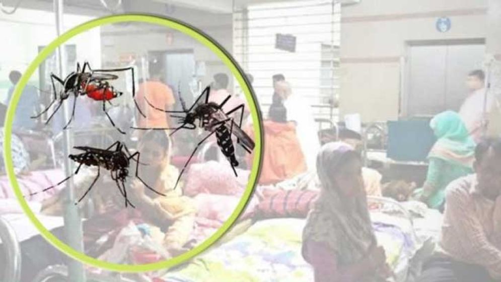 যেভাবে বুঝবেন ডেঙ্গু নাকি চিকুনগুনিয়া হয়েছে