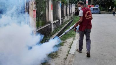 মশার ওষুধের ক্রিয়াশীল উপাদান পরীক্ষা করা জরুরি