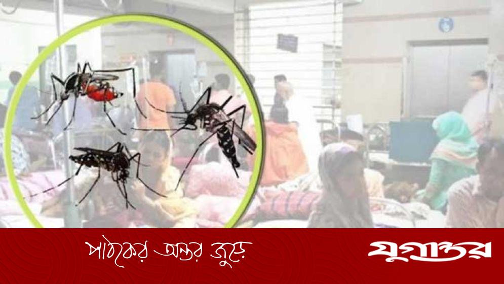 যেভাবে বুঝবেন ডেঙ্গু নাকি চিকুনগুনিয়া হয়েছে