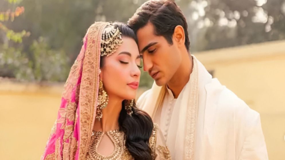 সাত মাসের দাম্পত্য জীবনের অবসান সাওবান-আবিরের