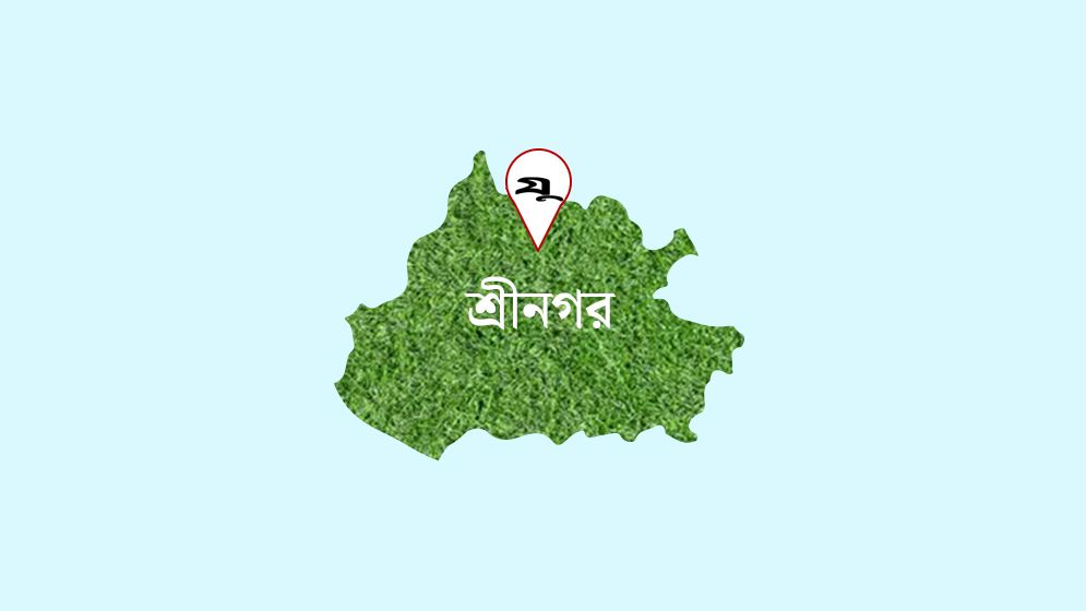 নৌকা চোর সন্দেহে যুবককে গাছে ঝুলিয়ে নির্যাতন, ভিডিও ভাইরাল