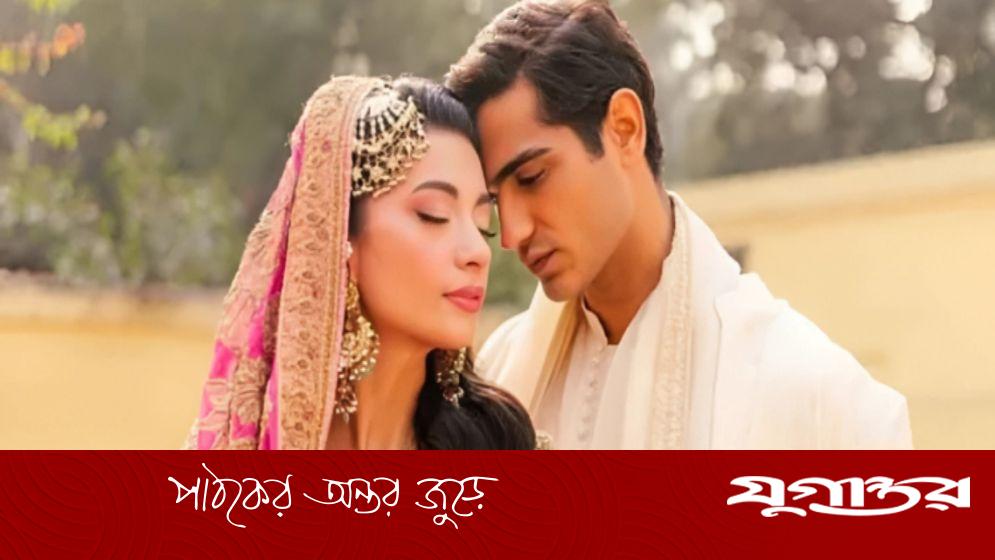 সাত মাসের দাম্পত্য জীবনের অবসান সাওবান-আবিরের