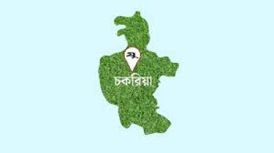 চকরিয়ায় বনকর্মীর ওপর হামলা আহত ৬
