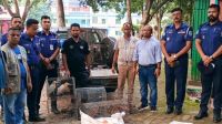 নড়াইলে অবৈধ চিড়িয়াখানা থেকে ২৫ বন্যপ্রাণী উদ্ধার