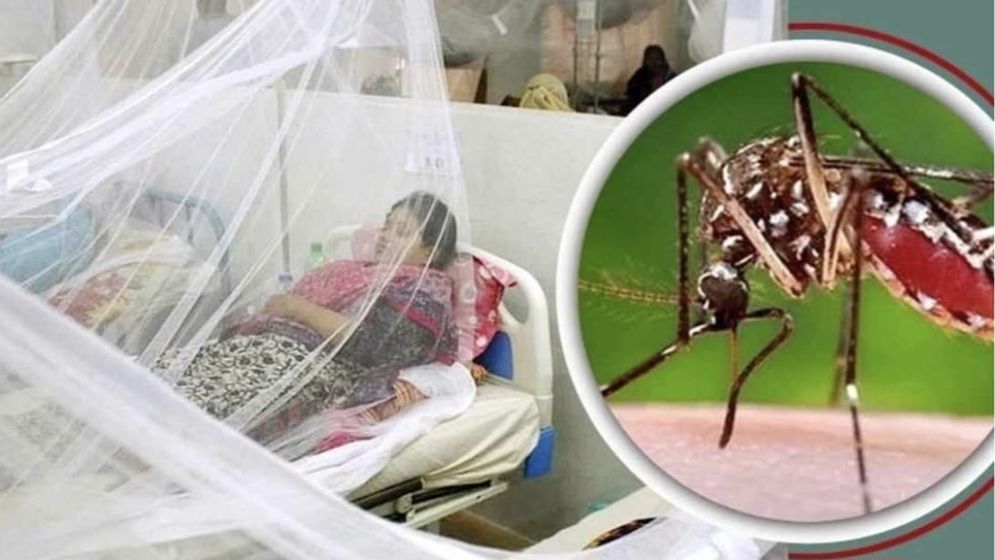 পাথরঘাটায় ডেঙ্গুতে ৪ জনের মৃত্যু