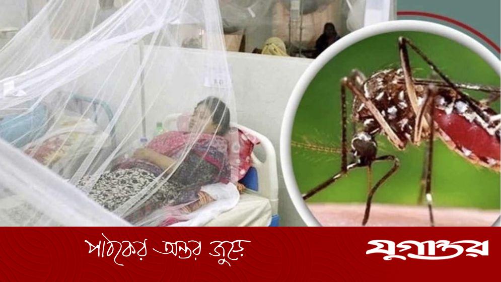 পাথরঘাটায় ডেঙ্গুতে ৪ জনের মৃত্যু