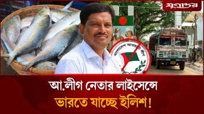 আওয়ামী লীগ নেতার লাইসেন্সে ভারতে যাচ্ছে ইলিশ!