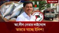 আওয়ামী লীগ নেতার লাইসেন্সে ভারতে যাচ্ছে ইলিশ!