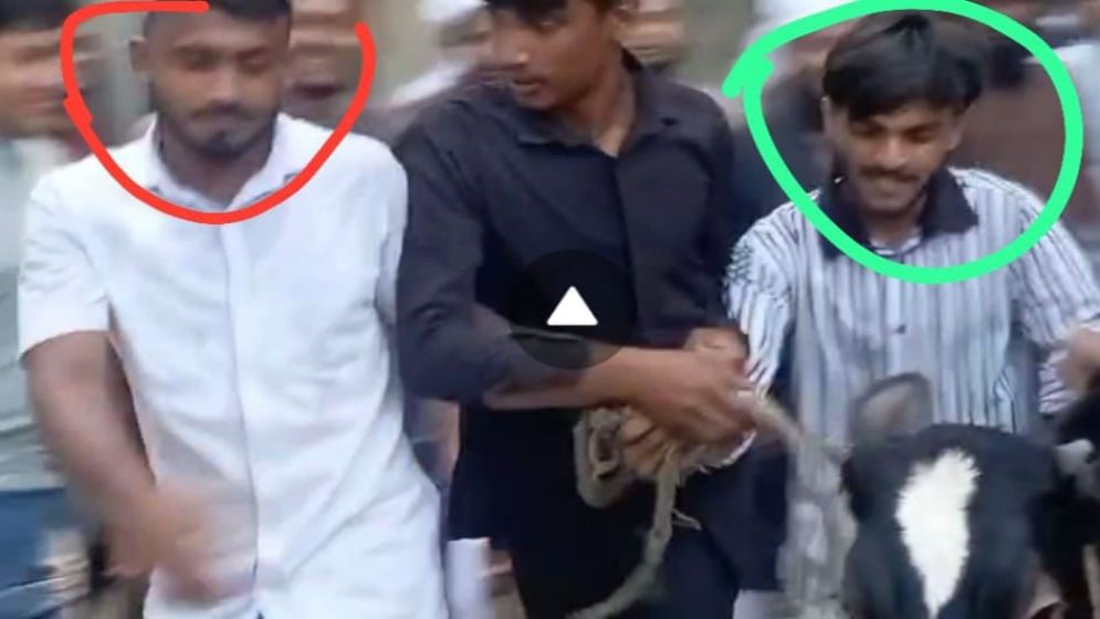 নুরাল পাগলার দরবার থেকে গরু লুটের অভিযোগে যুবক গ্রেফতার