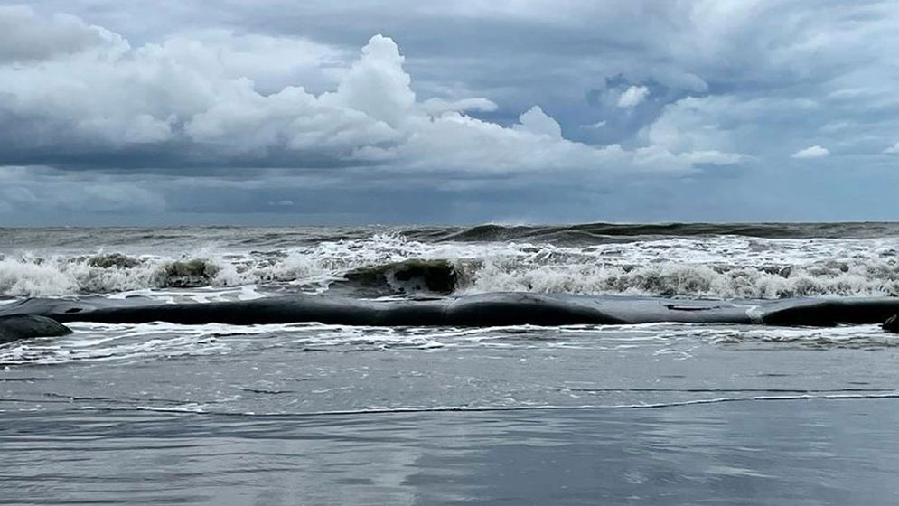 বঙ্গোপসাগরে দুটি লঘুচাপ সৃষ্টির আভাস