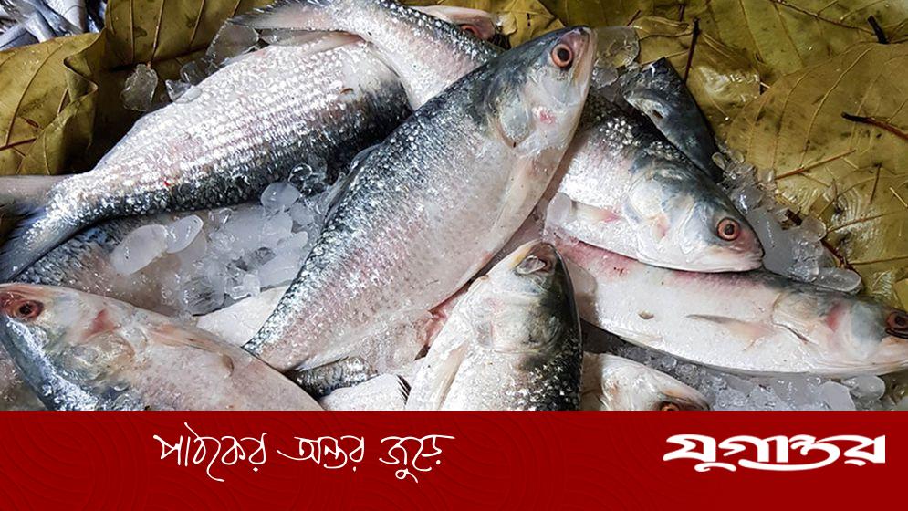 ‘ভারতকে ট্রানজিট বানিয়ে পাচার হচ্ছে বাংলাদেশের ইলিশ’