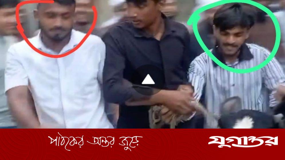 নুরাল পাগলার দরবার থেকে গরু লুটের অভিযোগে যুবক গ্রেফতার