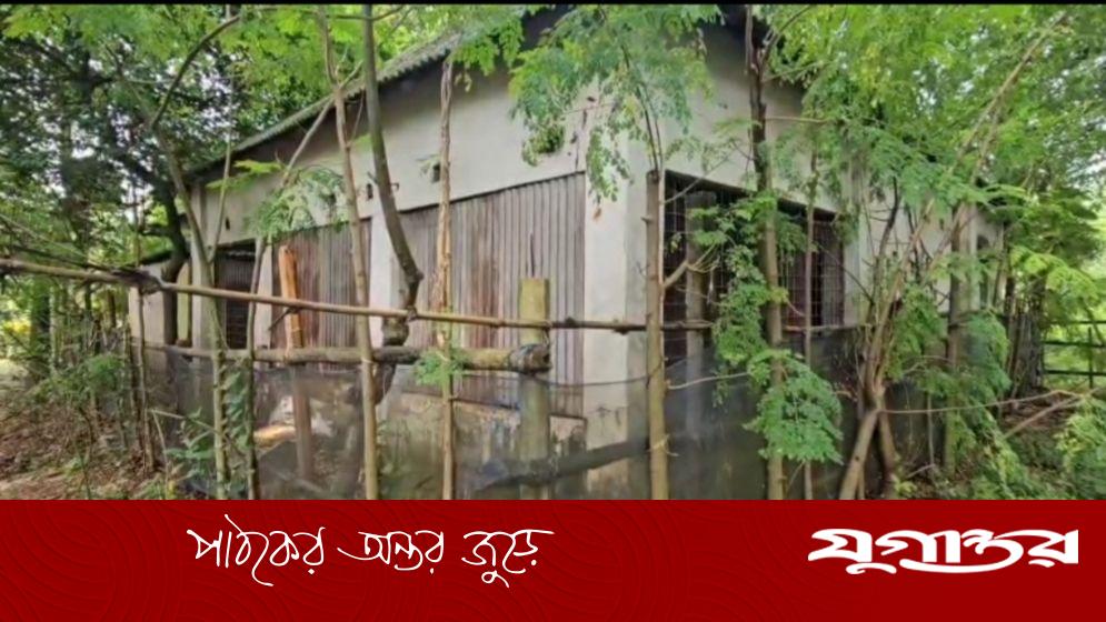 গাজীপুরে ৯ মাস ধরে অবরুদ্ধ বিধবার পরিবার