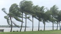 সাত জেলায় ৬০ কিমি বেগে ঝড় ও বজ্রসহ বৃষ্টির আভাস