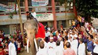 অধ্যক্ষকে হাতির পিঠে চড়িয়ে বিদায়