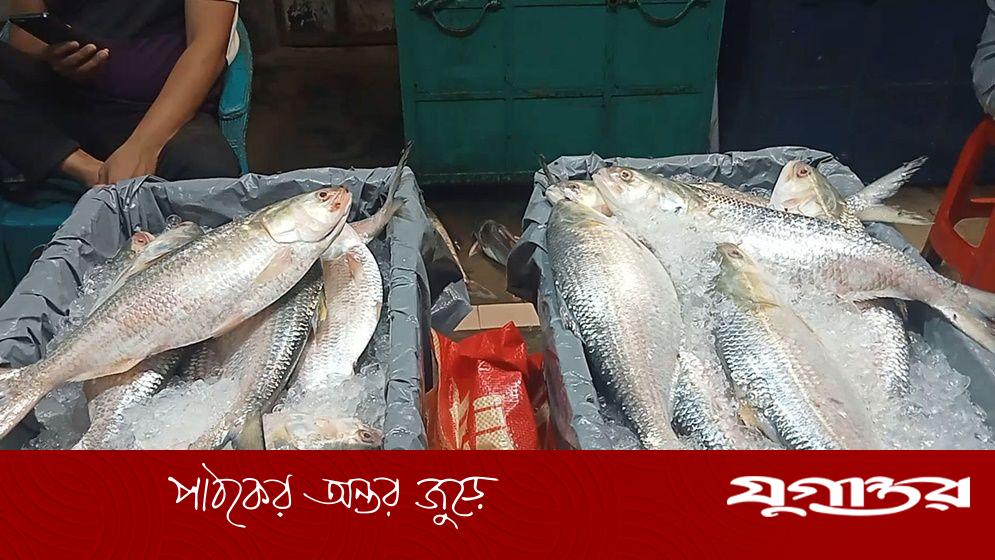 ইলিশ পাচার সিন্ডিকেট নিয়ে এবার বেরিয়ে এলো চাঞ্চল্যকর তথ্য