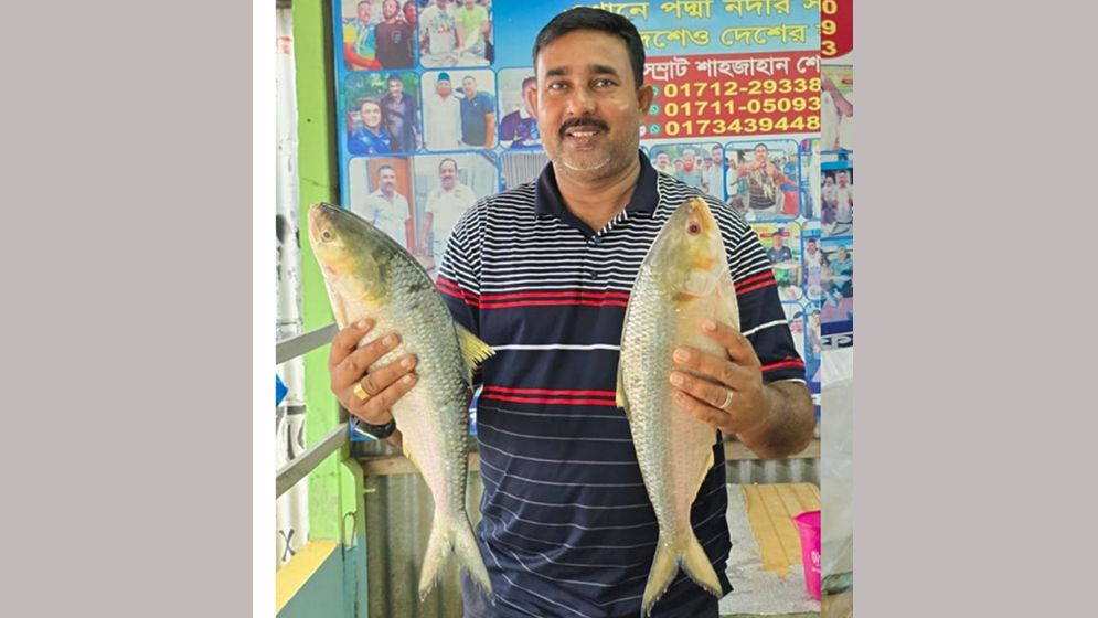 পদ্মার দুই ইলিশের দাম ১৭৬৪০ টাকা!