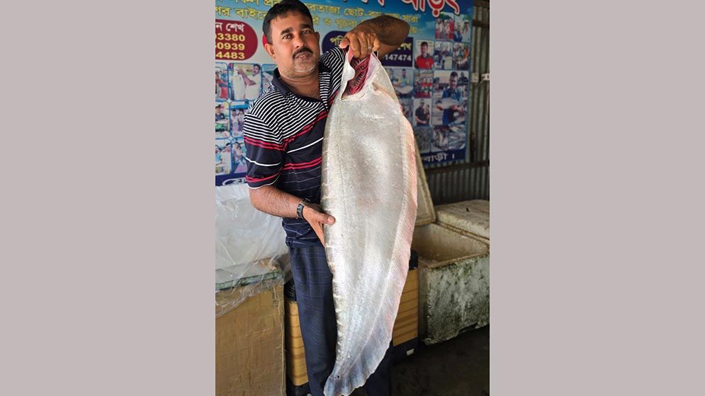 এক চিতল মাছের দাম ১৪৮০০ টাকা