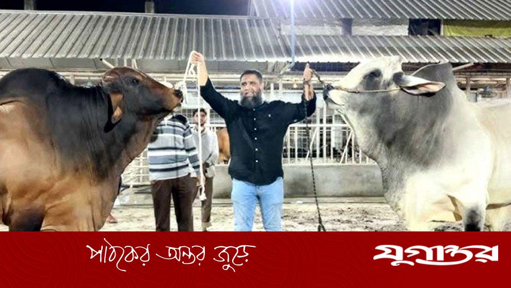 নিলামে সাদিক অ্যাগ্রোর ‘উচ্চ বংশীয়’ গরু, কত টাকা কেজি?