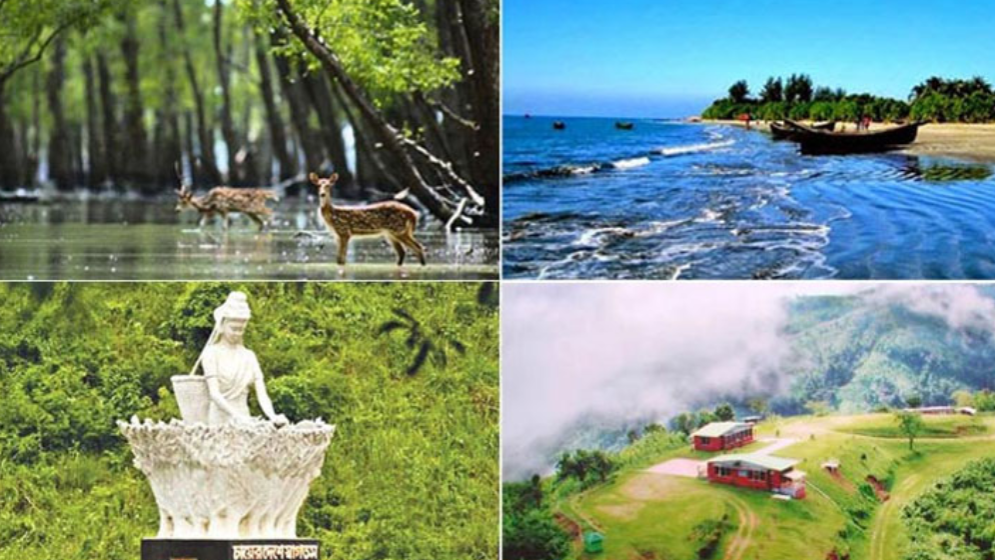 পর্যটনের টেকসই রূপান্তরে যা করা প্রয়োজন