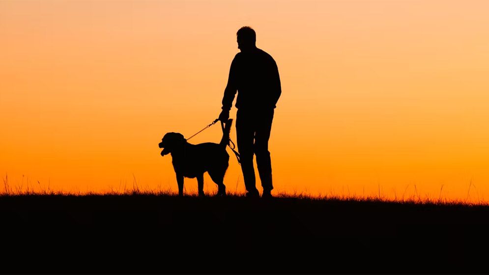 কুকুর পালা কি জায়েজ?