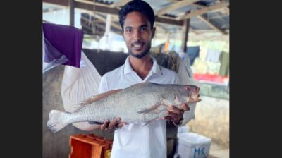 এক পোয়া মাছ ৮০ হাজার টাকায় বিক্রি