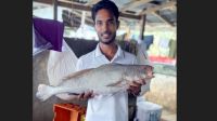 এক পোয়া মাছ ৮০ হাজার টাকায় বিক্রি