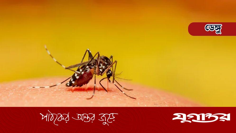 ডেঙ্গু পরিস্থিতি আরও অবনতির শঙ্কা