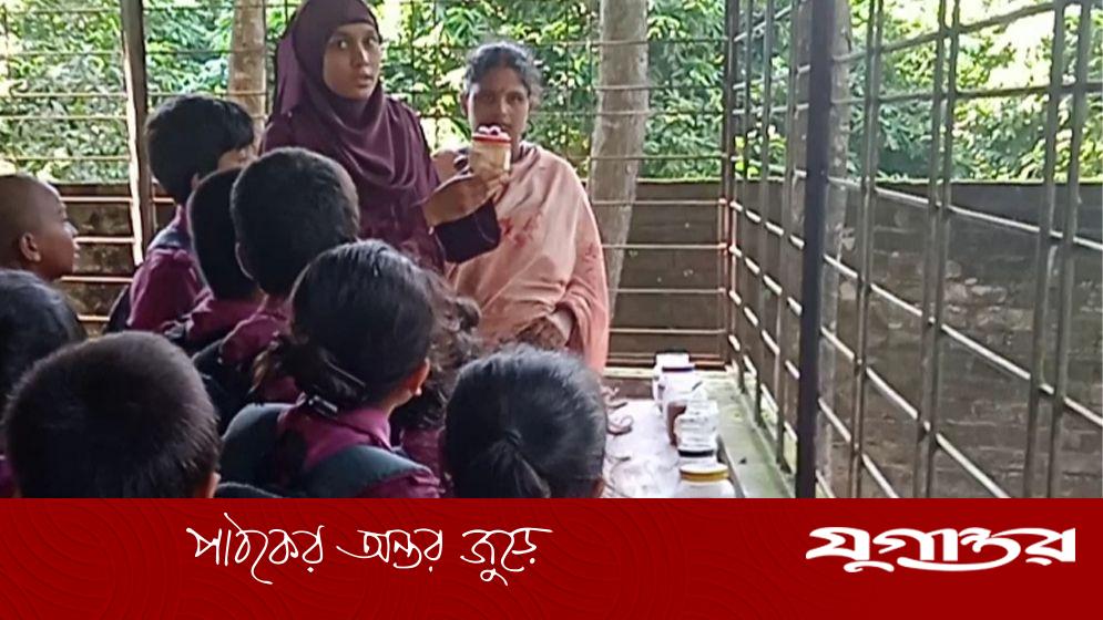 হারিয়ে গেছে ২৭ জাতের ধান, বীজগুলোর ঠাঁই সংরক্ষণাগারে