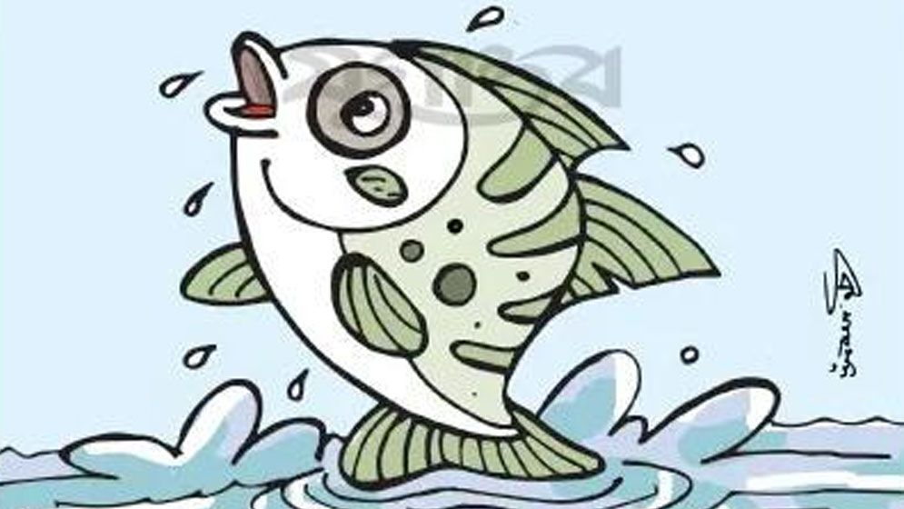 তীরন্দাজ মাছ