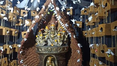 পাখির আবাস সুরক্ষার বার্তা নিয়ে শেরপুরে ব্যতিক্রমী দুর্গামণ্ডপ