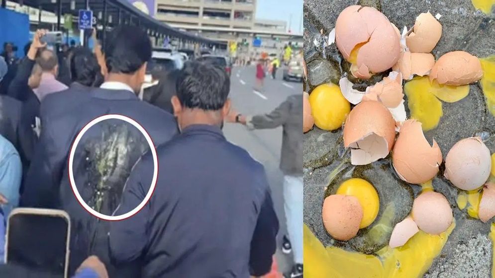 ডিম ছুড়ে আওয়ামী লীগ কী অর্জন করল!