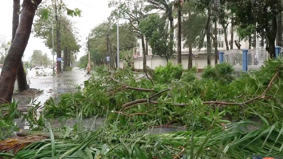 ভিয়েতনামে টাইফুন ‘বুয়ালোই’র তাণ্ডবে নিহত ৮