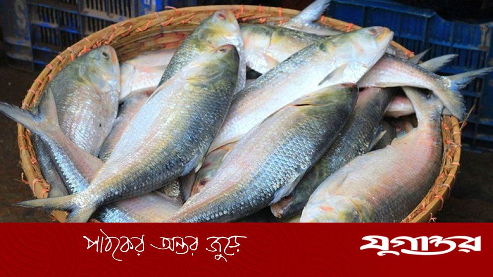 ভারতে ফের ইলিশ রপ্তানির অনুমতি, ১২ দিনে গেল ১৩৬ টন