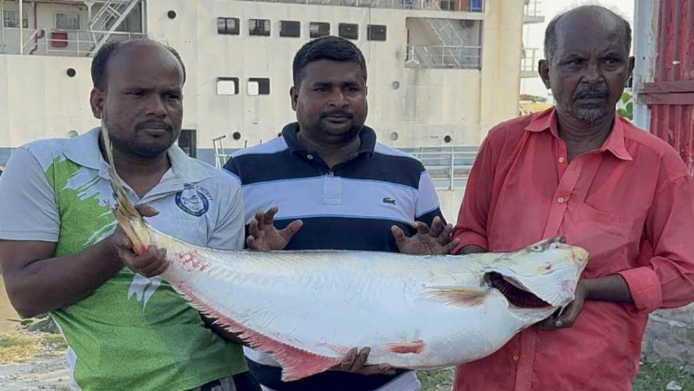 এক ঢাই মাছের দাম ৫৯,৪৫০ টাকা!