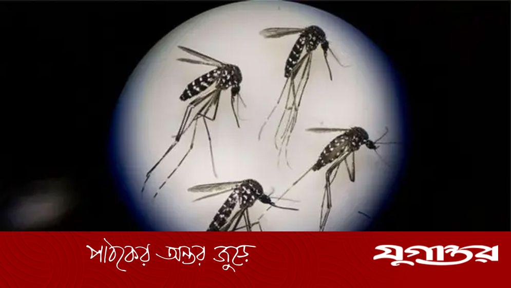 ডেঙ্গুতে মৃত্যু ২০০ ছুঁইছুঁই
